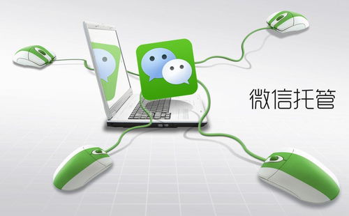 優化電腦圖文設計制作業務流程 高效降低運營成本與提升運營效果